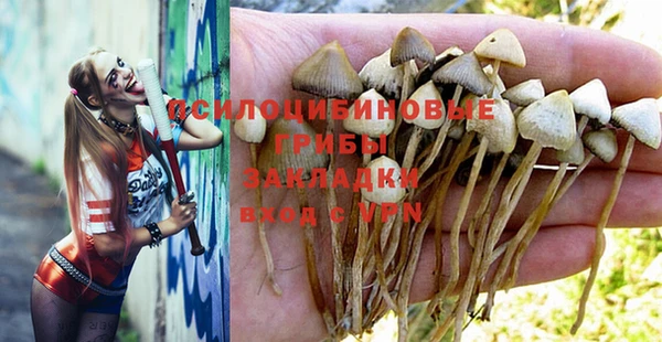 PSILOCYBIN Новодвинск