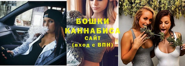 PSILOCYBIN Новодвинск