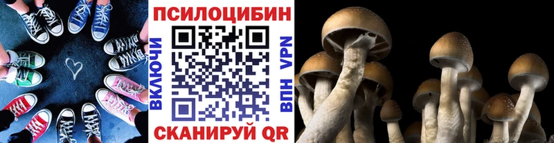 Галлюциногенные грибы Psilocybe  как найти закладки  Реутов 
