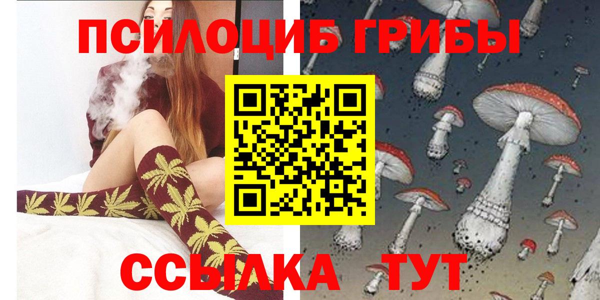 Псилоцибиновые грибы Cubensis  Реутов 