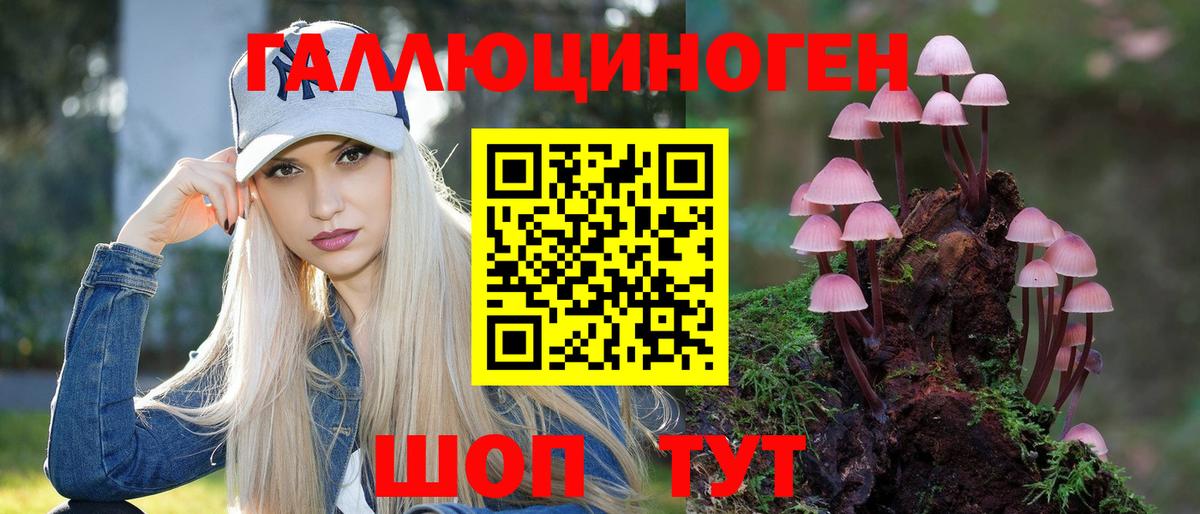Псилоцибиновые грибы мицелий Реутов